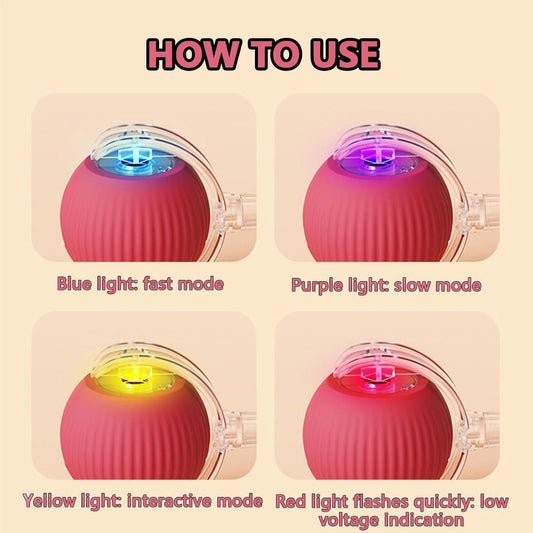 Cat Ball Toy