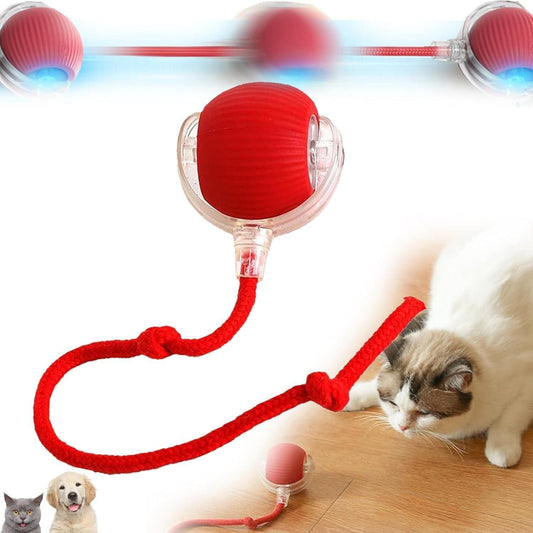 Cat Ball Toy